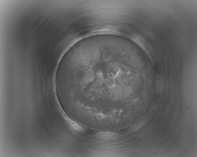 X0000071831474200606301306