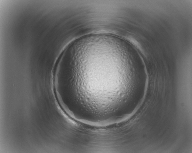 X0000071831476200606301306