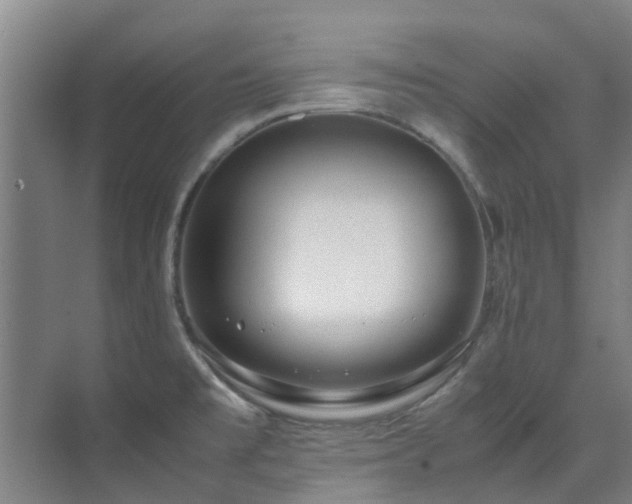 X0000071831477200606301306