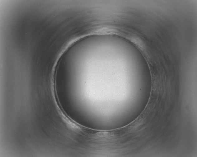 X0000071831478200606301306