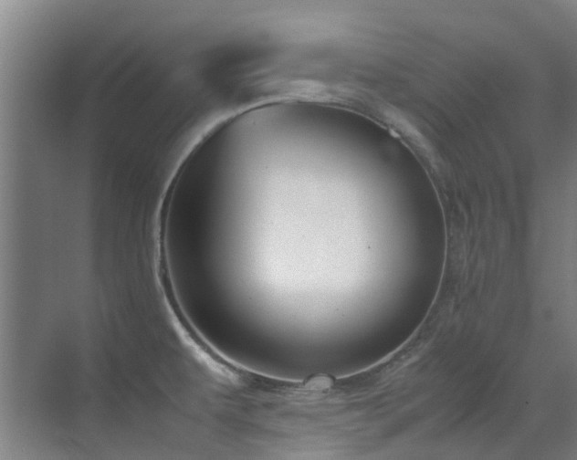 X0000071831479200606301306