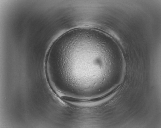 X0000071831480200606301306