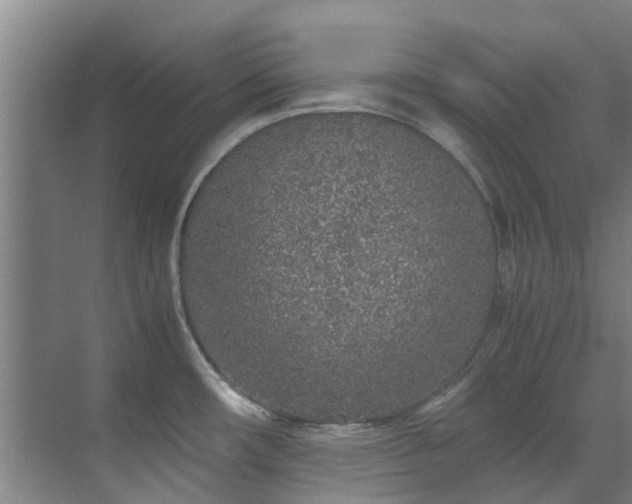 X0000071831482200606301306