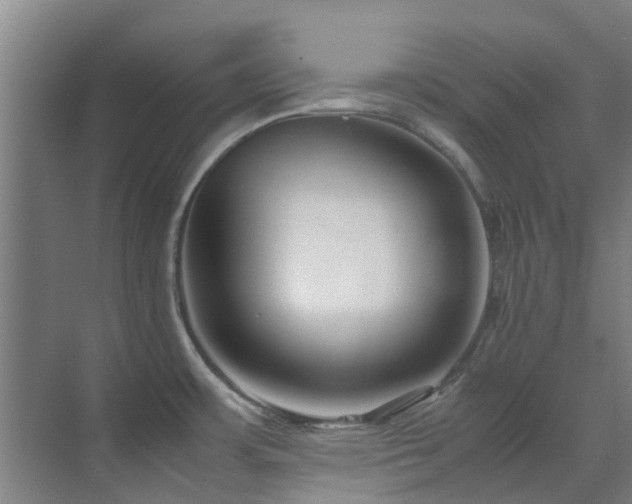 X0000071831483200606301306