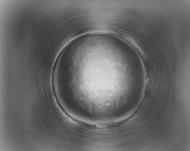 X0000071831484200606301306