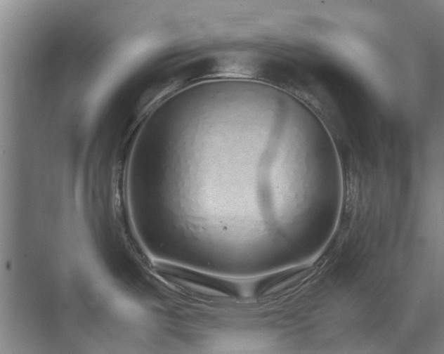 X0000071831487200606301306