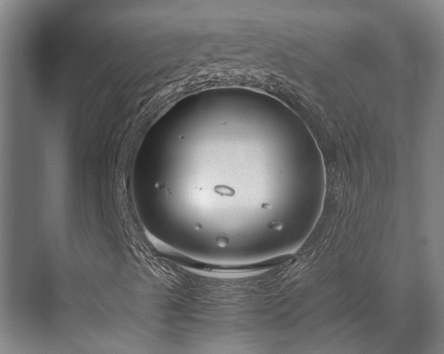 X0000071831489200606301305