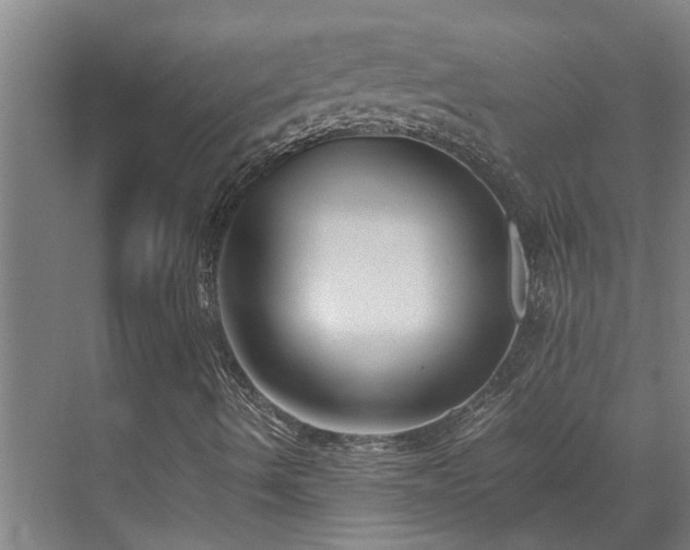 X0000071831490200606301305