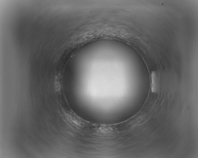 X0000071831491200606301305