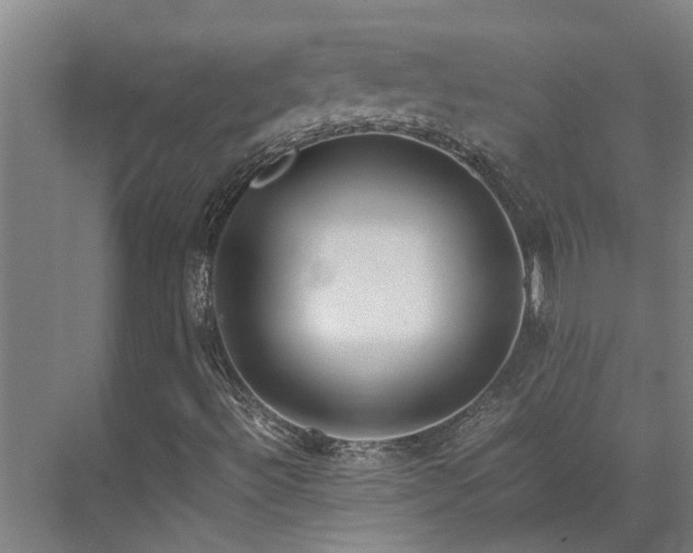 X0000071831492200606301305