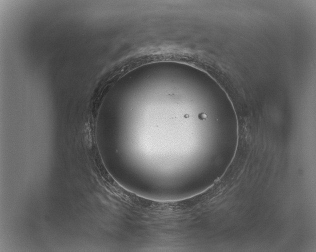 X0000071831493200606301305