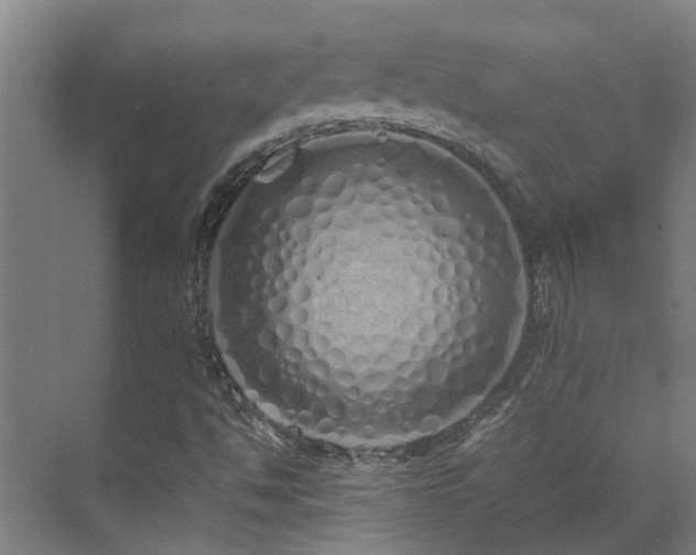 X0000071831494200606301305