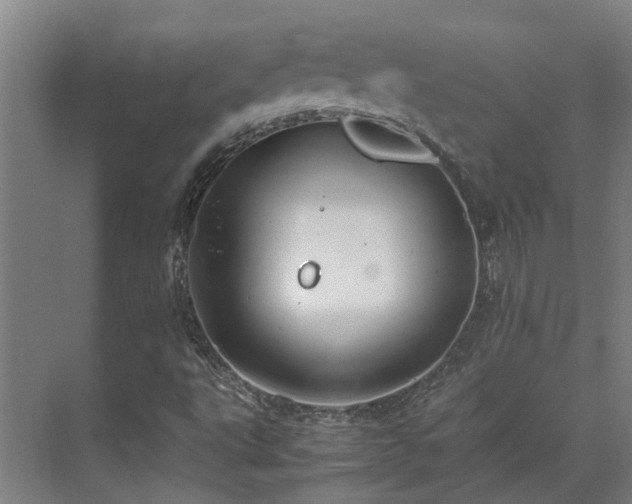 X0000071831495200606301305