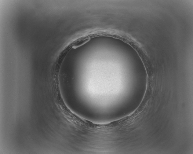 X0000071831496200606301305