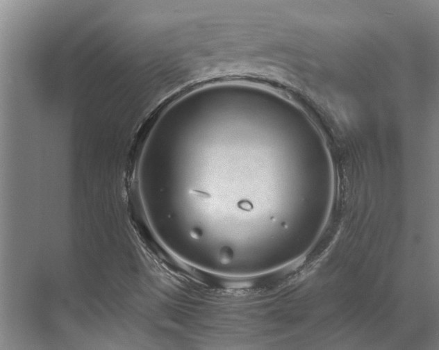 X0000071831497200606301305