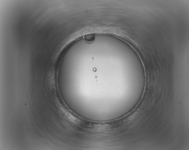 X0000071831498200606301305