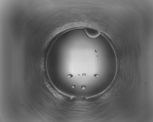 X0000071831499200606301305