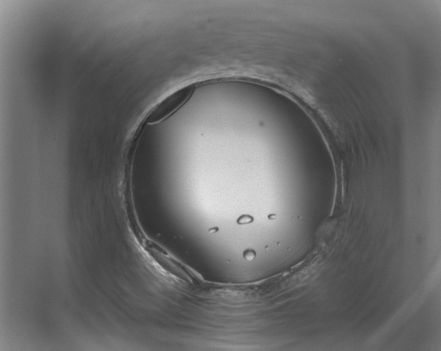 X0000071831500200606301305