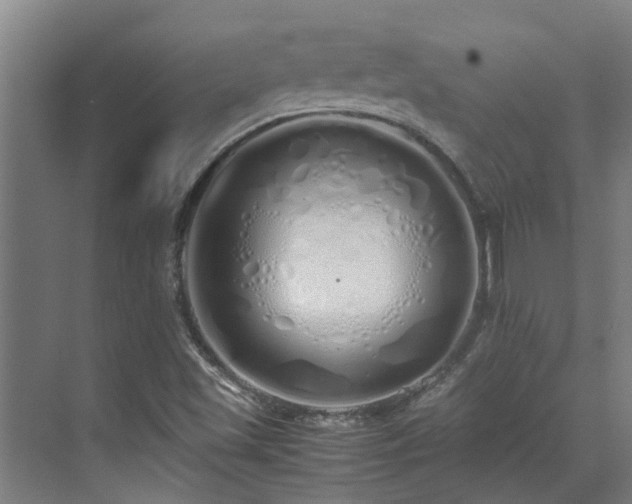 X0000071831501200606301305