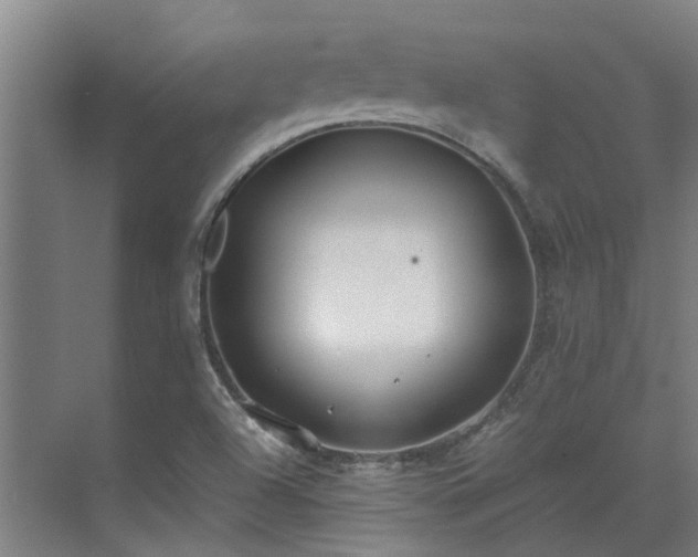 X0000071831504200606301305