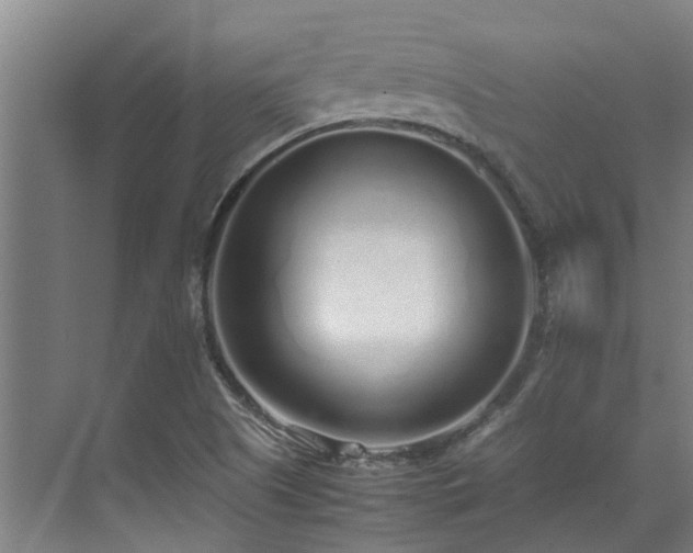 X0000071831505200606301305