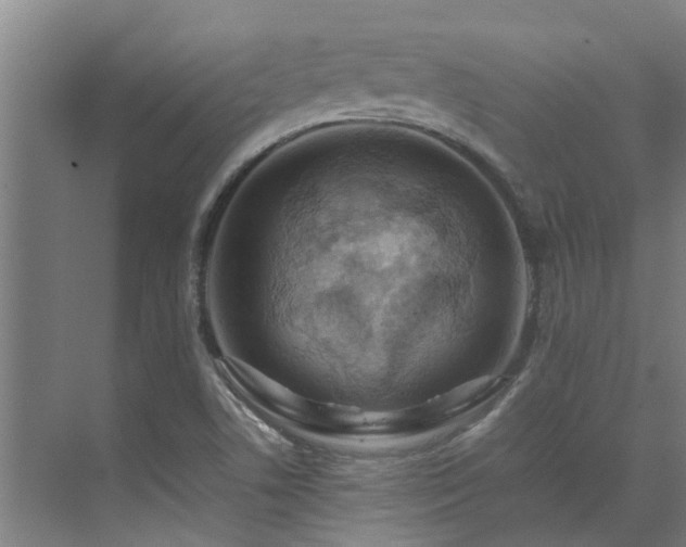 X0000071831506200606301305