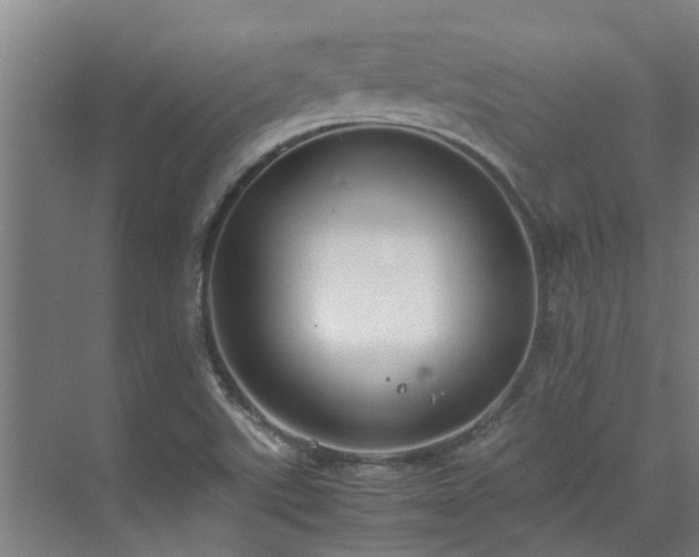 X0000071831507200606301305