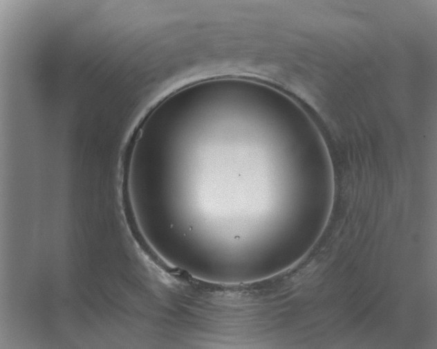 X0000071831508200606301305