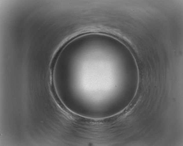 X0000071831509200606301305