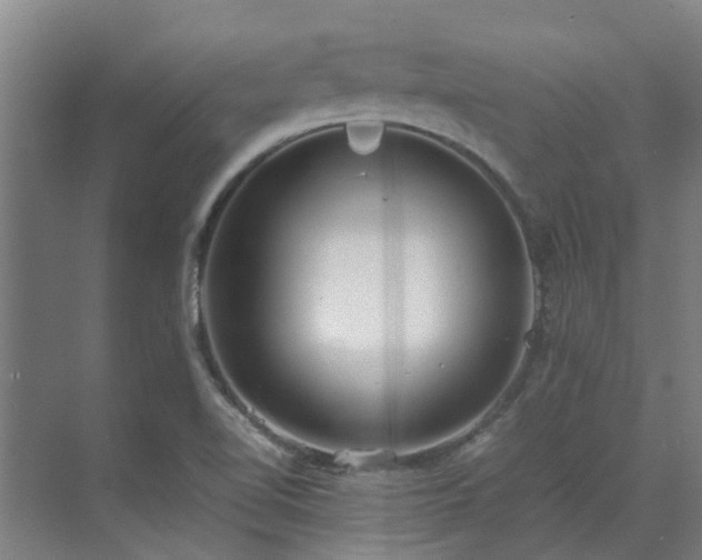 X0000071831510200606301305