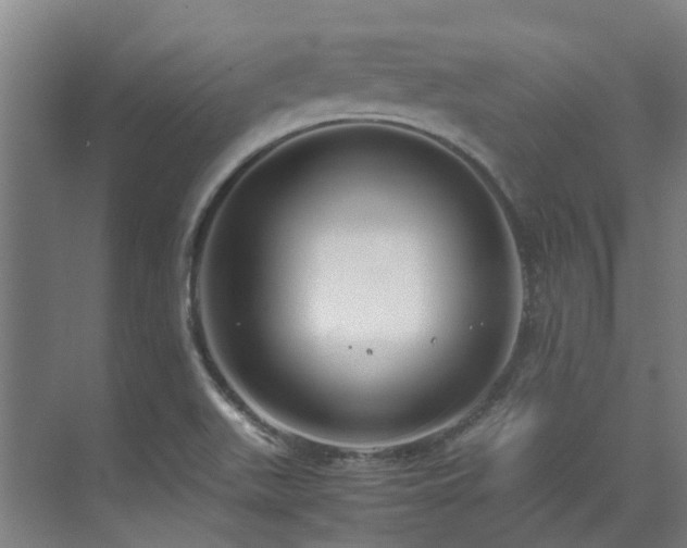 X0000071831511200606301305