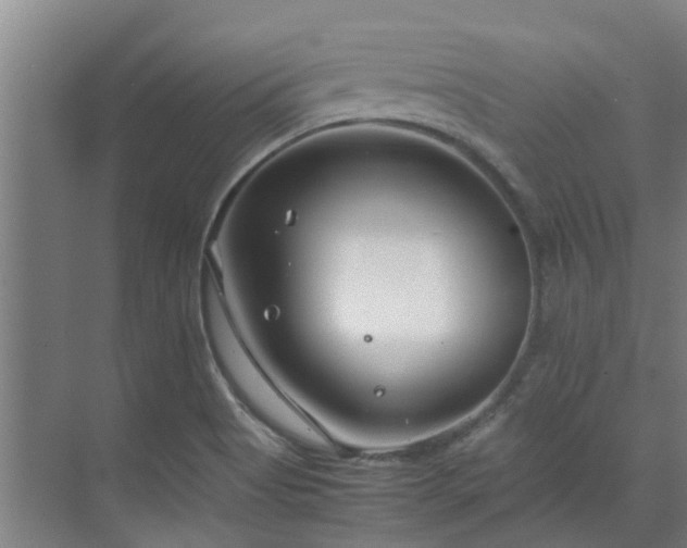 X0000071831513200606301305