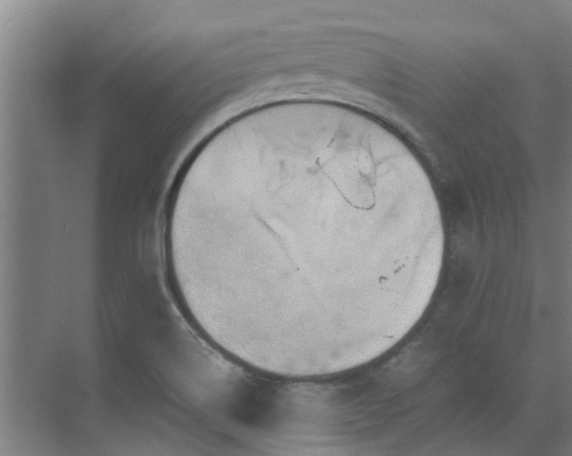 X0000071831514200606301305