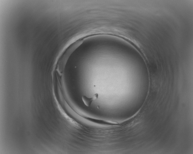 X0000071831515200606301305