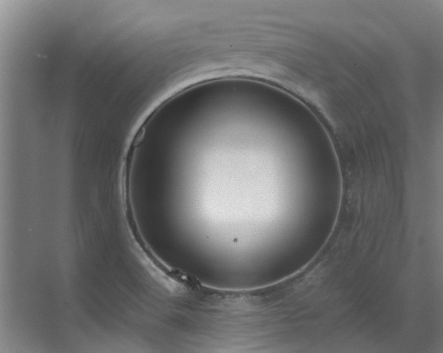 X0000071831516200606301305