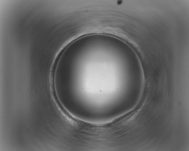 X0000071831517200606301305