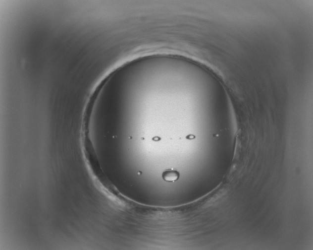 X0000071831518200606301305