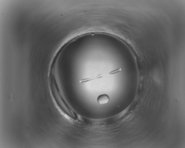 X0000071831519200606301305