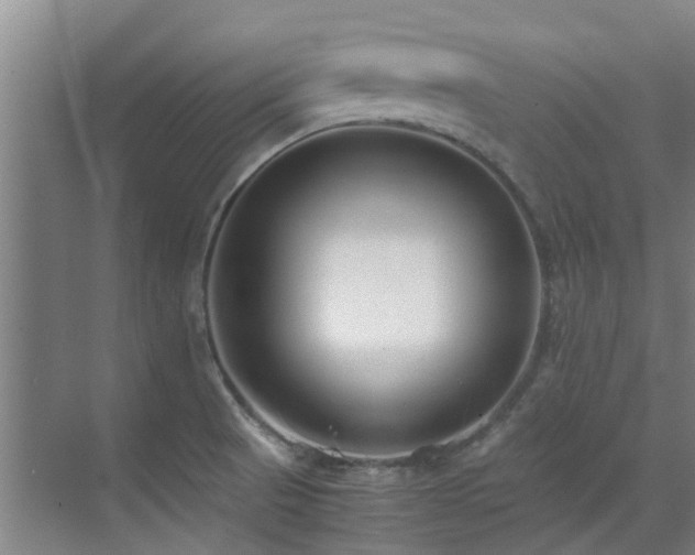 X0000071831521200606301305