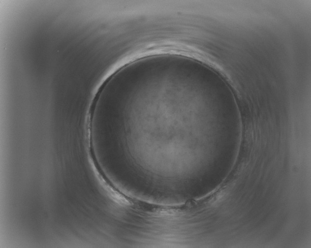 X0000071831522200606301305