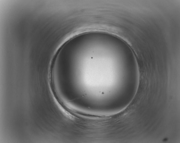 X0000071831523200606301305