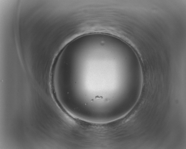 X0000071831525200606301305