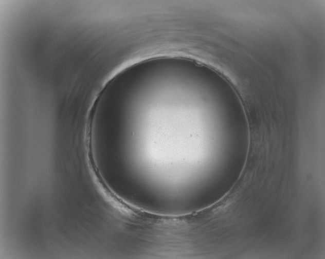 X0000071831526200606301305