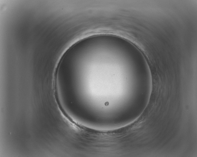 X0000071831527200606301305