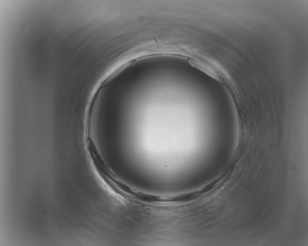 X0000071831528200606301305