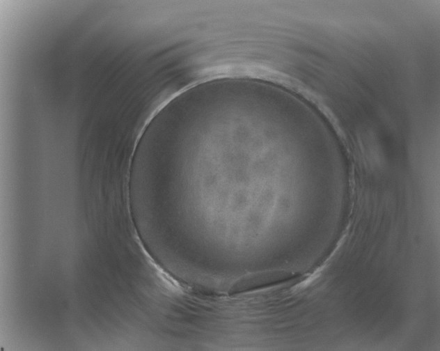 X0000071831529200606301305