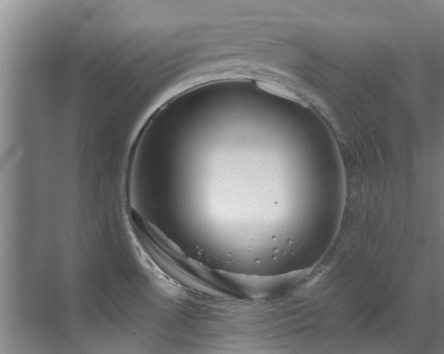 X0000071831530200606301305