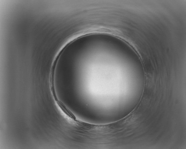 X0000071831531200606301305