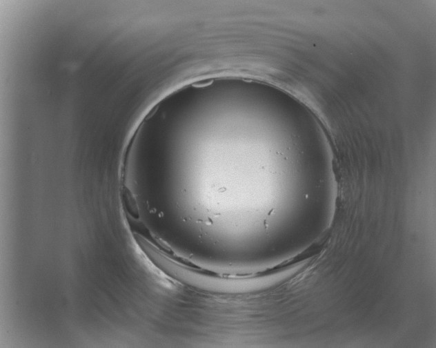 X0000071831532200606301305