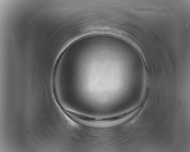 X0000071831533200606301306